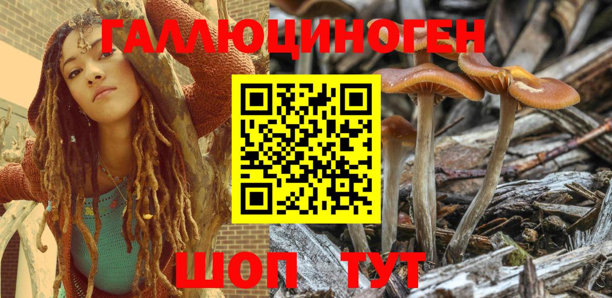 Ульяновск  Псилоцибиновые грибы Magic Shrooms  Вход с VPN  Псилоцибиновые грибы прущие грибы 