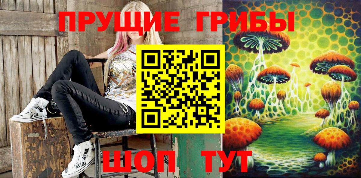 Псилоцибиновые грибы мухоморы Ульяновск